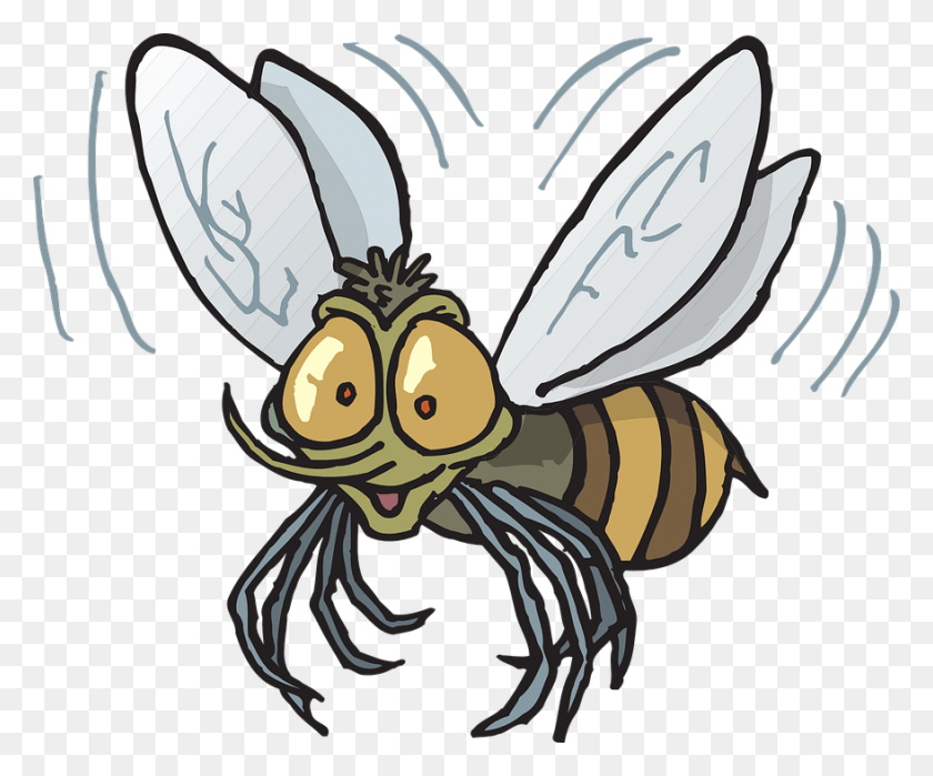 878x720 Пчела Летающее Насекомое Насекомое Летающий Клипарт, Оса, Беспозвоночное, Животное Hd Png Скачать