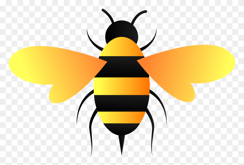 7151x4656 Bee Vector With Transparent Background Honeybee, Honey Bee, Insect, Invertebrate HD PNG Download