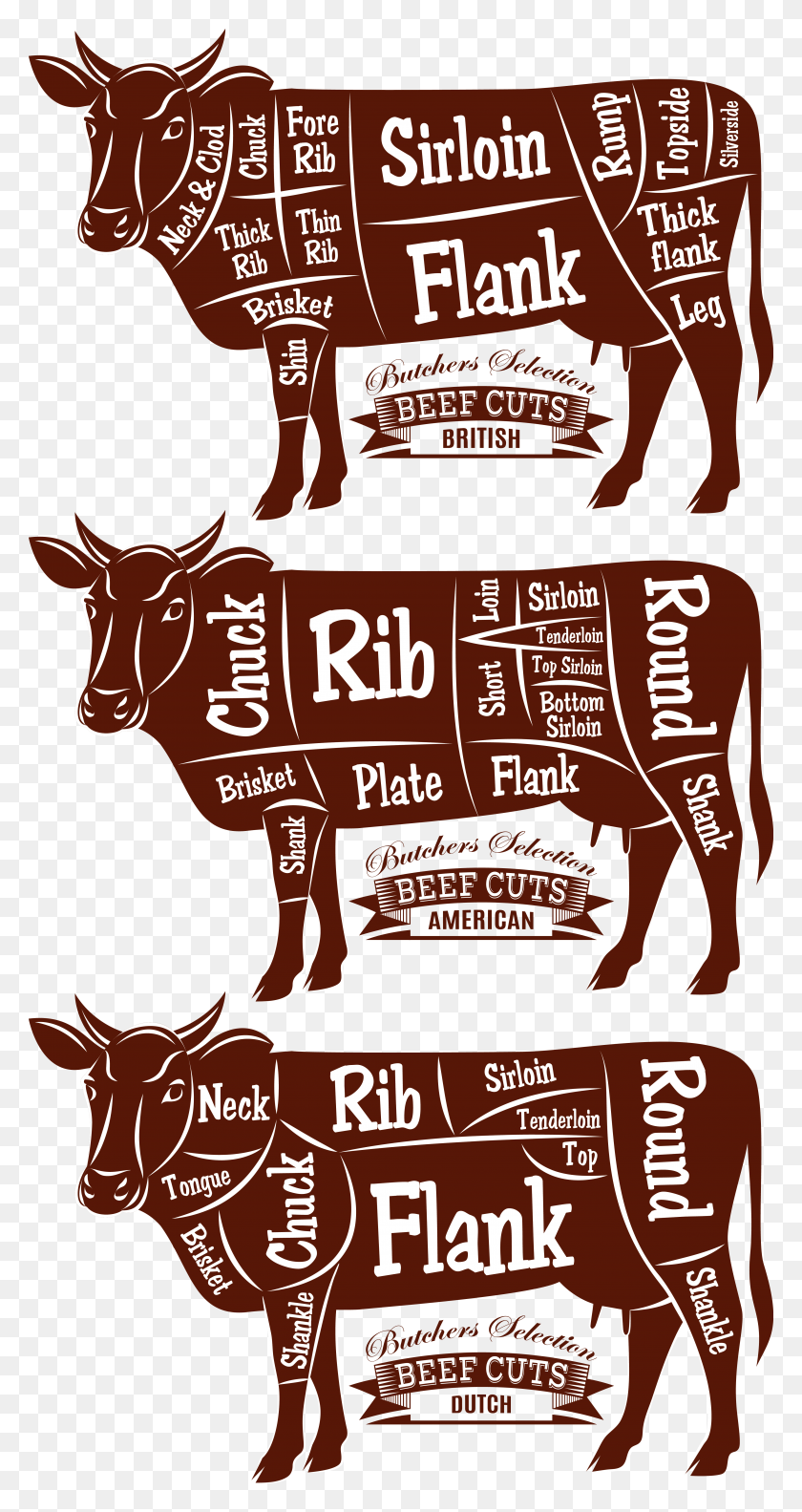 4198x8199 Beef Cattle Cut Of Beef Diagram Butcher Poster, Advertisement, Flyer, Paper HD PNG Download