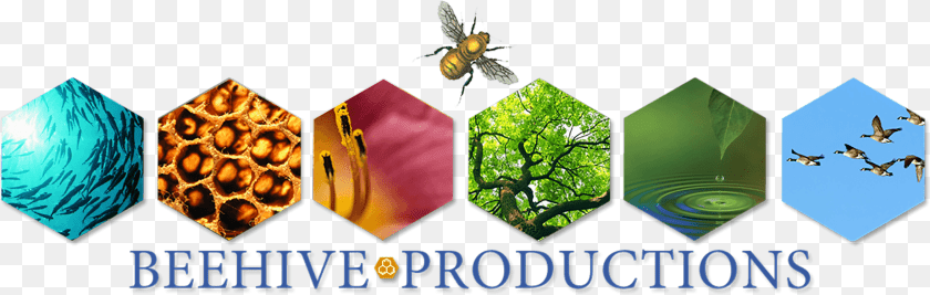Beehive Banner, Animal, Bee, Insect, Invertebrate Clipart PNG