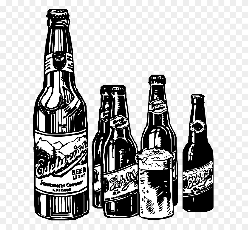 613x720 Beer Bottles Drawing, Alcohol, Beverage, Drink HD PNG Download
