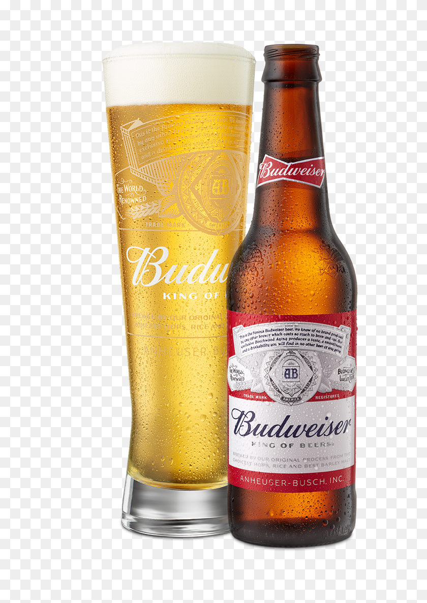 571x1126 Beer Poured In Glass Next To Bottle Budweiser, Alcohol, Beverage, Drink HD PNG Download