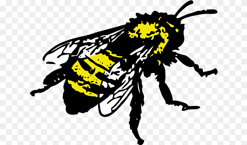 641x494 Bees Warm Heart Worldwide Honey Bee, Animal, Insect, Invertebrate, Wasp Transparent PNG