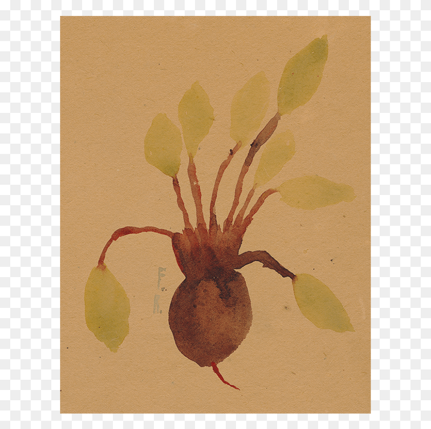 607x776 Beet, Plant, Turnip, Produce HD PNG Download