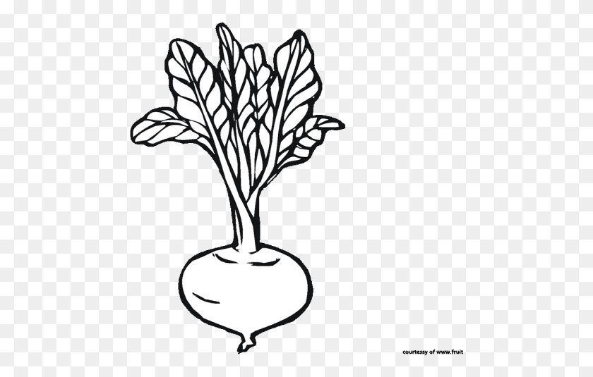 473x475 Beet Clipart Cute Beetroot Clipart Black And White, Plant, Lamp, Vegetable HD PNG Download