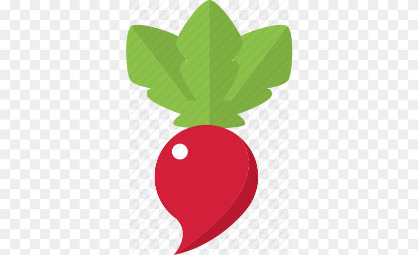 335x512 Beet Cooking Food Red Restaurant Vegetable Icon, Plant, Produce, Radish, Ping Pong Transparent PNG