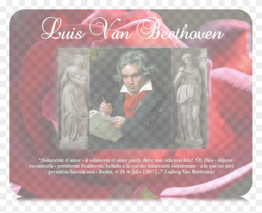 800x639 Beethoven Rajel Y Leah Portrait Of Ludwig Van Beethoven, Person, Human HD PNG Download