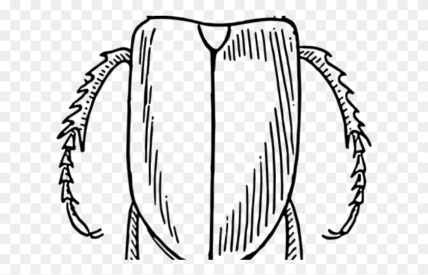 622x481 Beetle Outline Cliparts Line Drawings Of Insects, Bow, Gate, Harp HD PNG Download