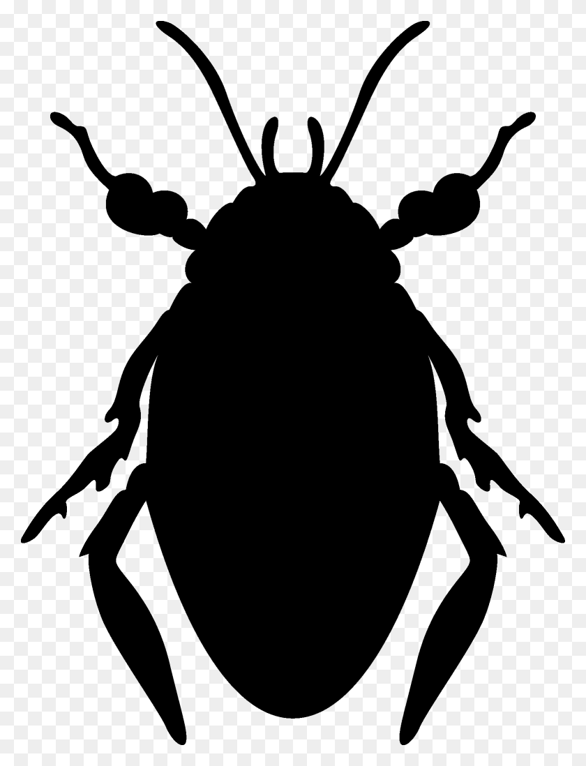 1561x2079 Beetleroaches Beetle, Person, Human HD PNG Download