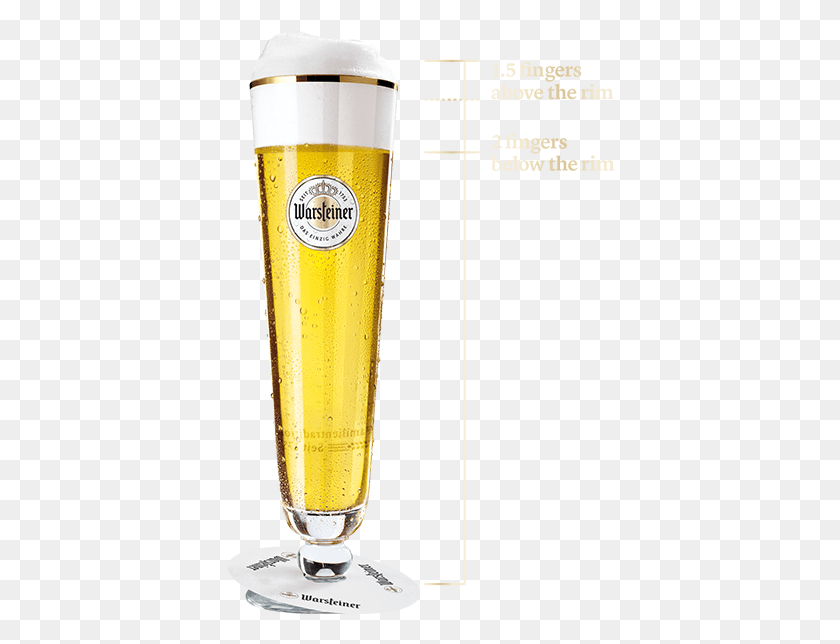 388x584 Before Using Remove Any Dust On The Glasses With Cold Perfectly Poured Beer, Glass, Alcohol, Beverage HD PNG Download