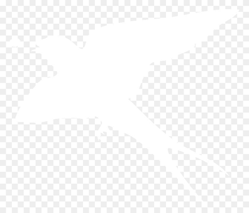 775x659 Behavior Aerial Forager Seabird, Stencil, Leaf HD PNG Download