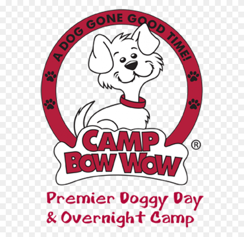 564x756 Behavior Buddies 574 Camp Bow Wow 575 Camp Bow Wow, Label, Text, Poster HD PNG Download