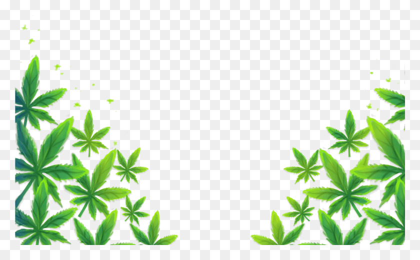 2309x1363 Behind The Smoke, Plant, Leaf, Weed HD PNG Download