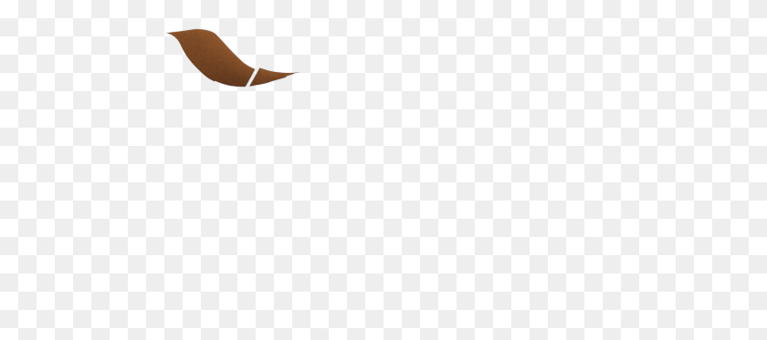 519x313 Beige Lining Eagle, Animal, Outdoors, Person HD PNG Download