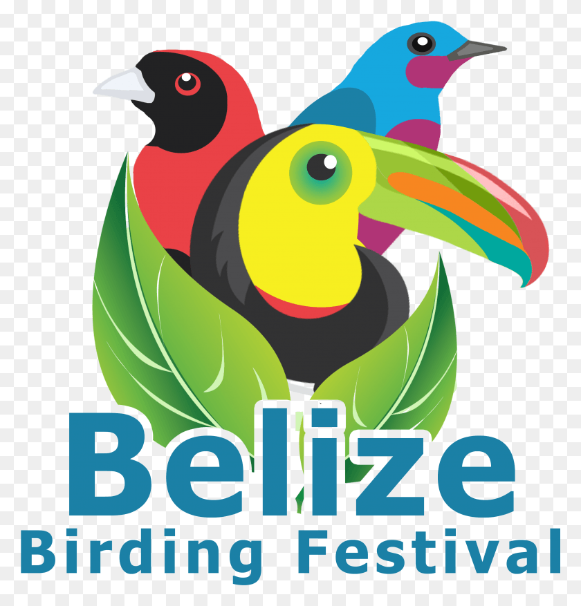 3182x3333 Belize Bird Festival Logo Piciformes, Animal, Graphics HD PNG Download