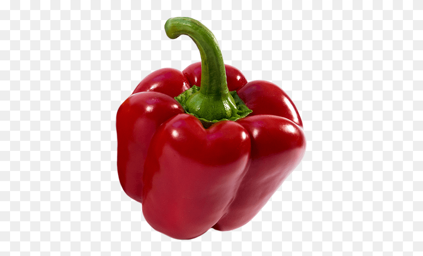 Bell Pepper Plant Habanero Chili, Vegetable, Food, Bell Pepper HD PNG Download