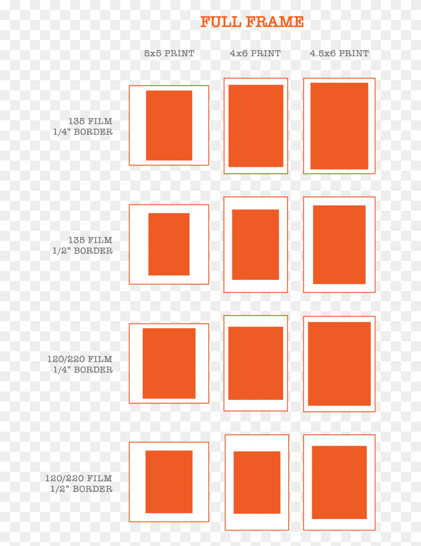 660x1028 Below Is A Rough Representation Of How Typical Film Full Frame Photo Print Sizes, Label, Text, Alphabet HD PNG Download