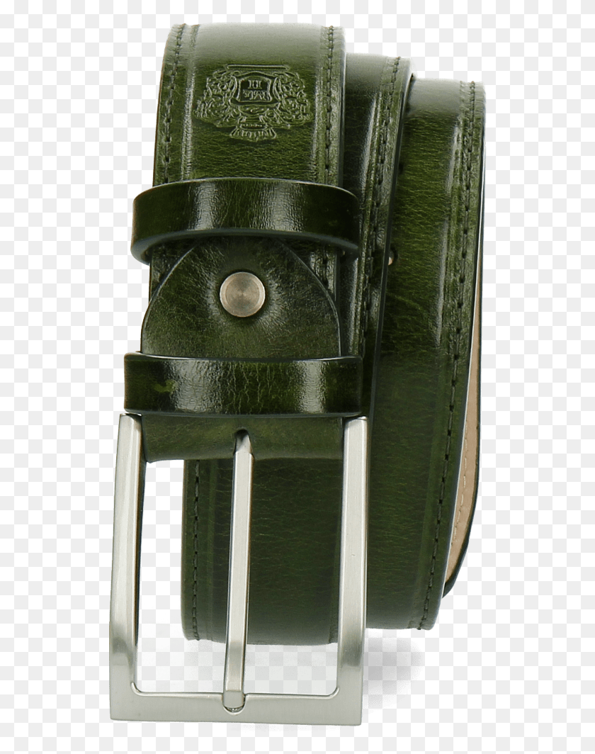 535x1004 Descargar Png Cinturones Larry 1 Cinturón Clásico Hebilla Verde, Planta, Vestido De Noche, Bata Hd Png
