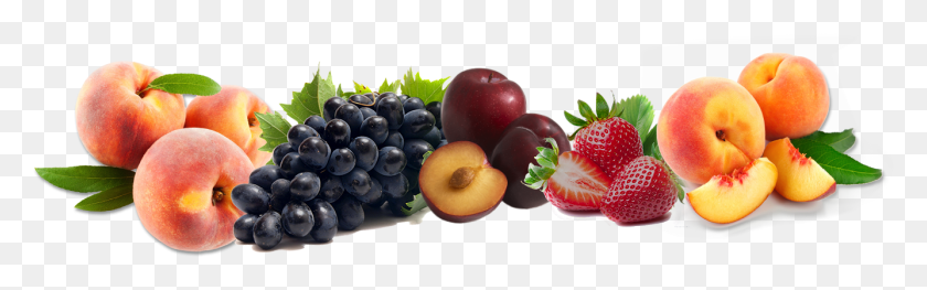 1335x348 Bem Vindo Strawberry, Plant, Fruit, Food HD PNG Download