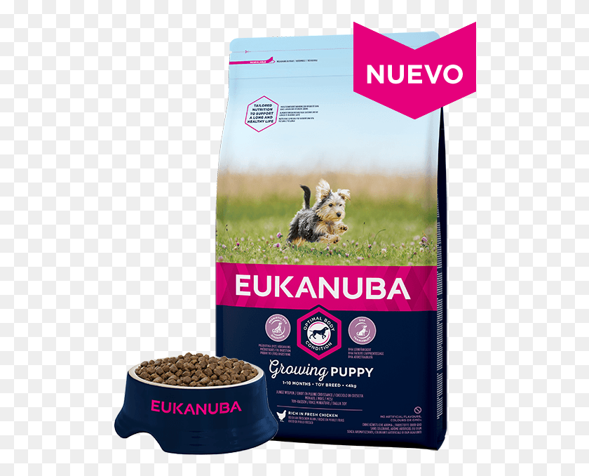 518x618 Beneficios Clave Eukanuba Growing Puppy Medium Breed, Advertisement, Poster, Flyer HD PNG Download