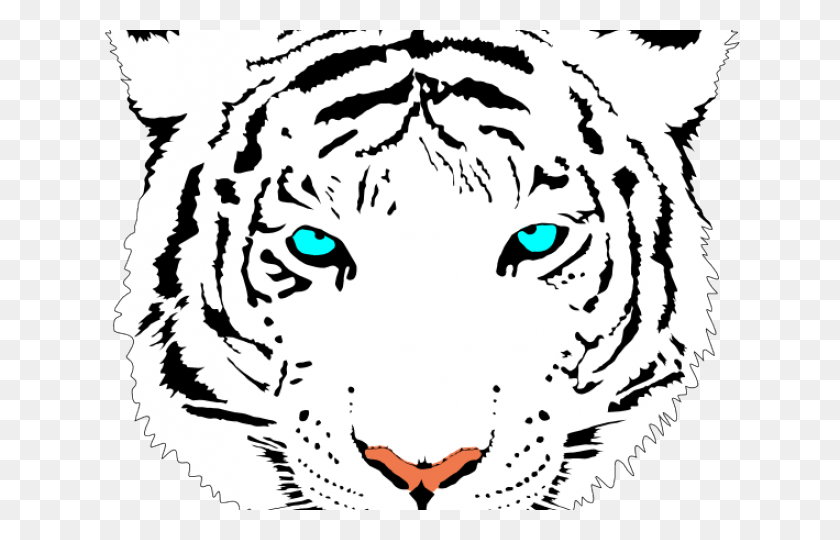 640x480 Bengal Clipart Tiger Face White Tiger Face, Doodle HD PNG Download