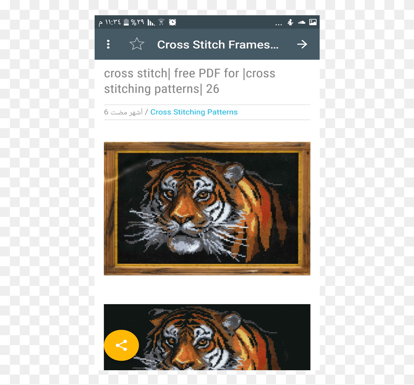 459x721 Бенгальский Тигр, Дикая Природа, Млекопитающее, Животное Hd Png Скачать