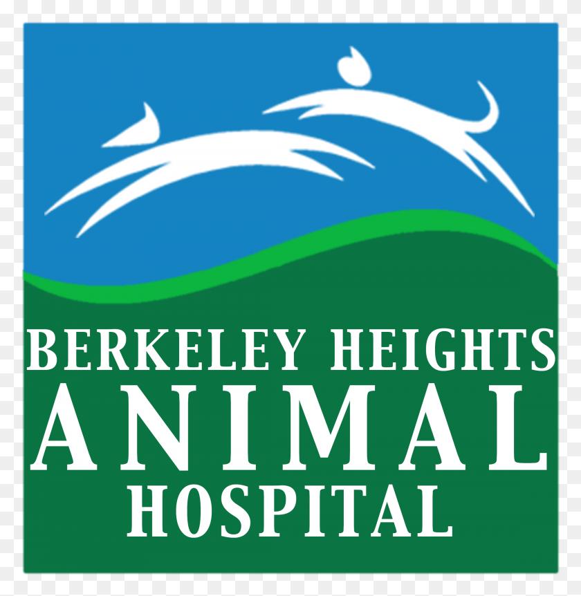 2210x2274 Berkeley Heights Animal Hospital Diseño Gráfico, Cartel, Publicidad, Flyer Hd Png