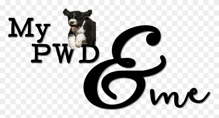 782x395 Bernese Mountain Dog, Animal, Pet, Canine HD PNG Download