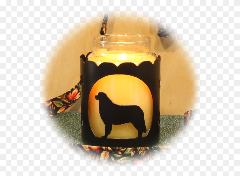 567x556 Bernese Mountain Dog Breed Jar Candle Holder Pug, Birthday Cake, Cake, Dessert HD PNG Download