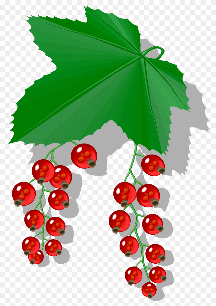 2000x2837 Berries, Food, Fruit, Leaf, Plant Clipart PNG