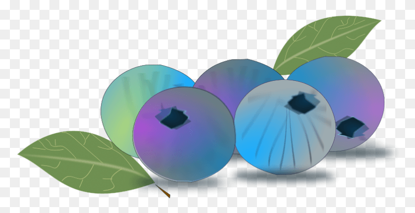 786x375 Berries Clip Art Animasi Blueberry, Sphere, Graphics HD PNG Download