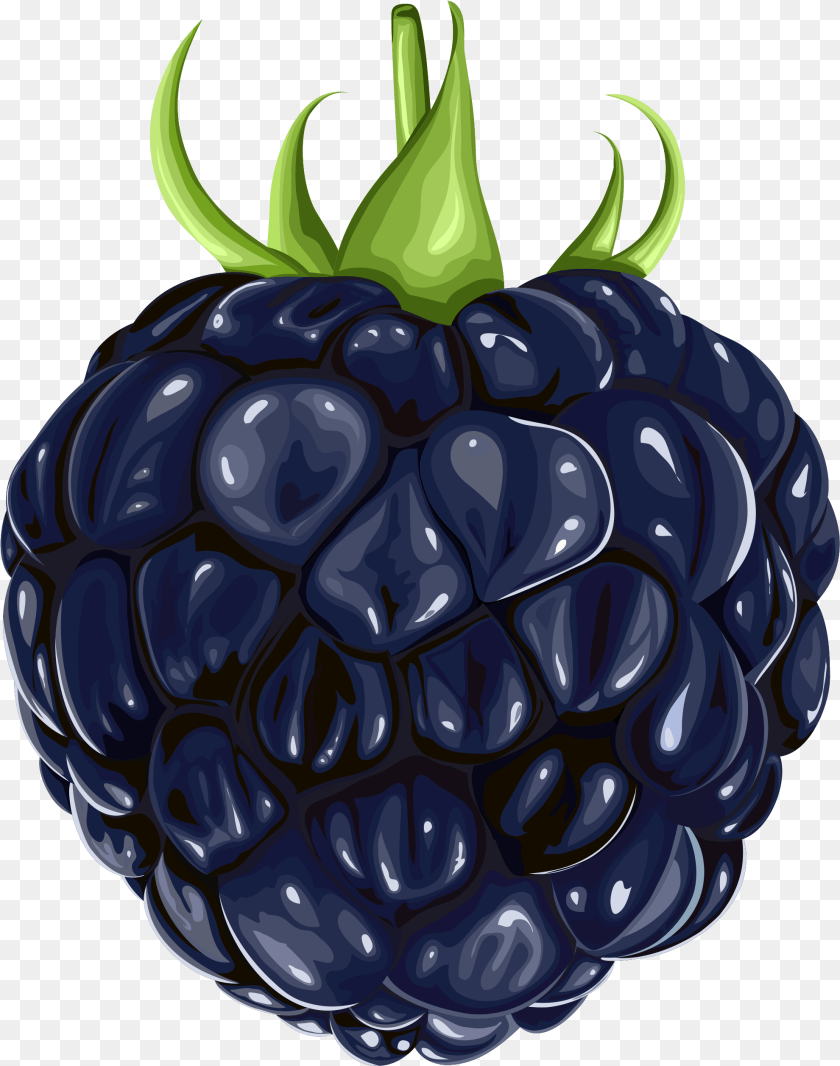 Berries Blackberry Fruit Blackberry, Berry, Food, Plant, Produce Clipart PNG