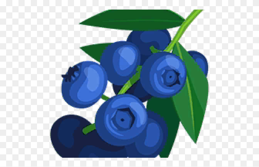 517x481 Berries Clipart Blueberry Clipart Of Blueberries, Plant, Fruit, Food HD PNG Download