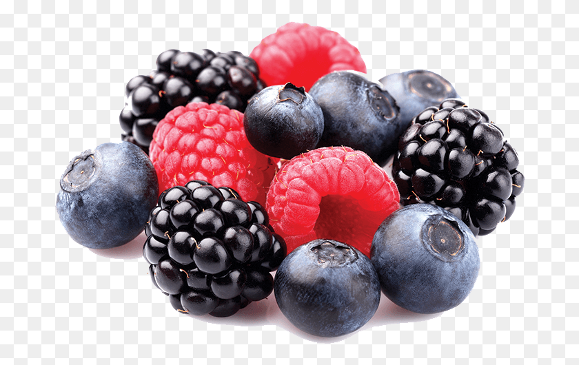 684x470 Berries Pic Shape Up Alpha Lipid, Blueberry, Fruit, Plant HD PNG Download