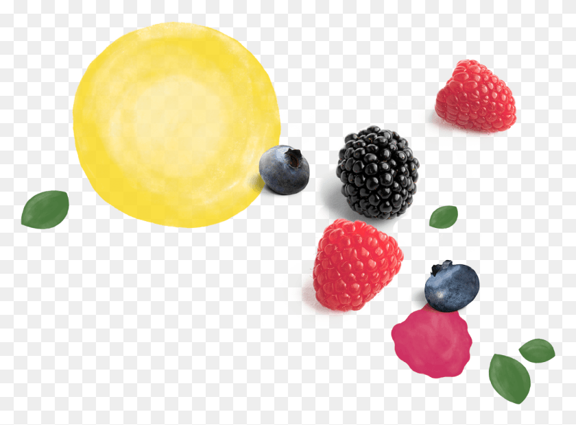 1245x896 Berry Berries Driscolls, Plant, Raspberry, Fruit HD PNG Download