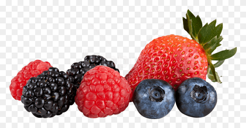 791x384 Berry Mix Mix Berry, Plant, Blueberry, Fruit HD PNG Download