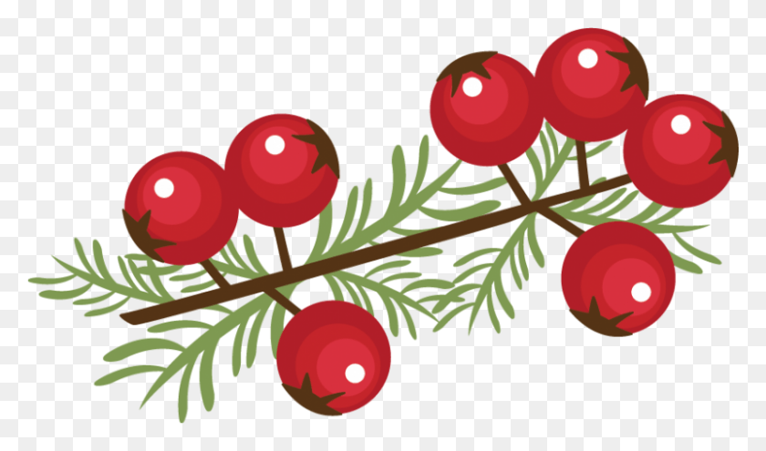 800x447 Berry Vector Winter Clip Art Christmas Berries, Tree, Plant, Conifer HD PNG Download