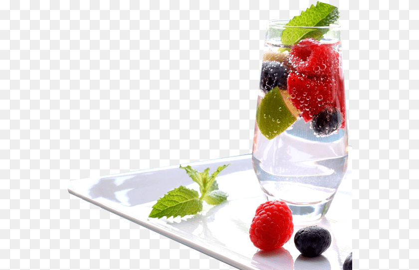 Berry Vodka And Tonic, Raspberry, Produce, Plant, Mint Clipart PNG