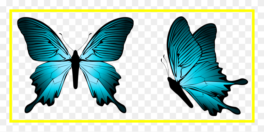 1455x675 Png Изображение - Голубая Бабочка Png.