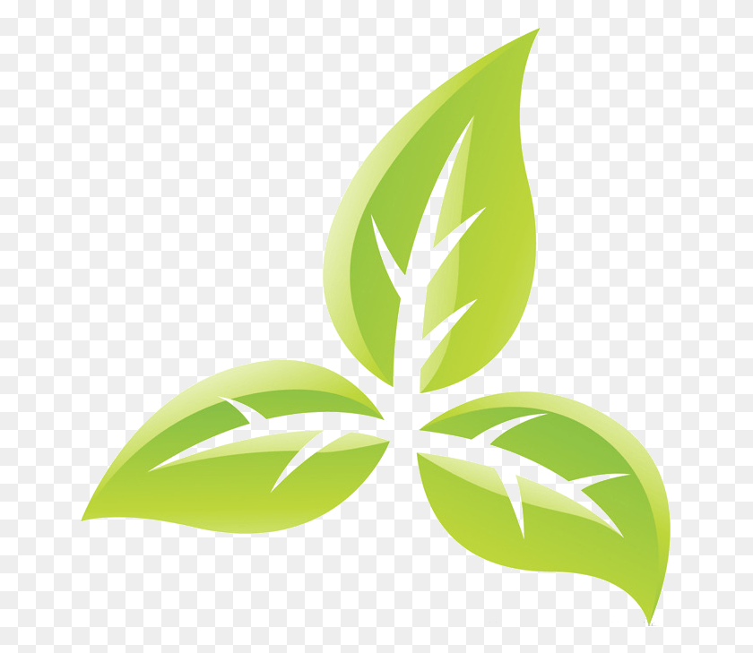 661x669 Символ Табачного Завода В Норвич, Лист, Зеленый, Цветок Png Скачать