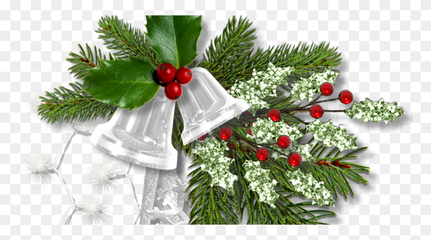800x420 Лучшее Рождественское Послание Для Учителей, Дерево, Растение, Орнамент Hd Png Скачать