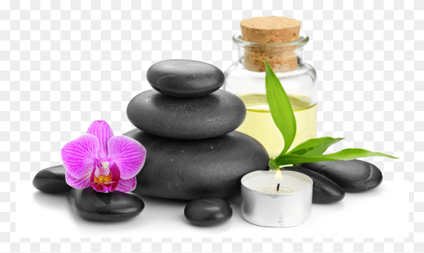 850x481 Best Days Spa Columbia Md Spa Images, Plant, Flower, Blossom HD PNG Download