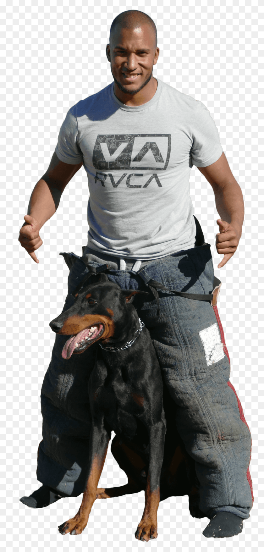1640x3567 Best Dog Trainers The K9 Basic School Police Dog, Person, Human, Clothing HD PNG Download