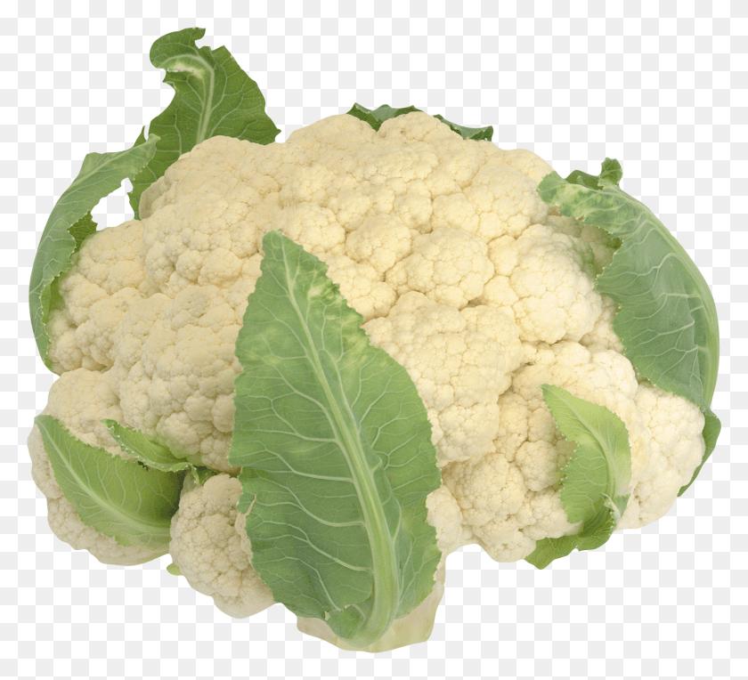 1458x1317 Best Free Cabbage Free Images Of Cauliflower, Vegetable, Plant, Food HD PNG Download