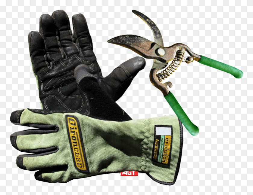 781x590 Best Garden Gloves For Thorns Eldiveni, Clothing, Apparel, Person HD PNG Download