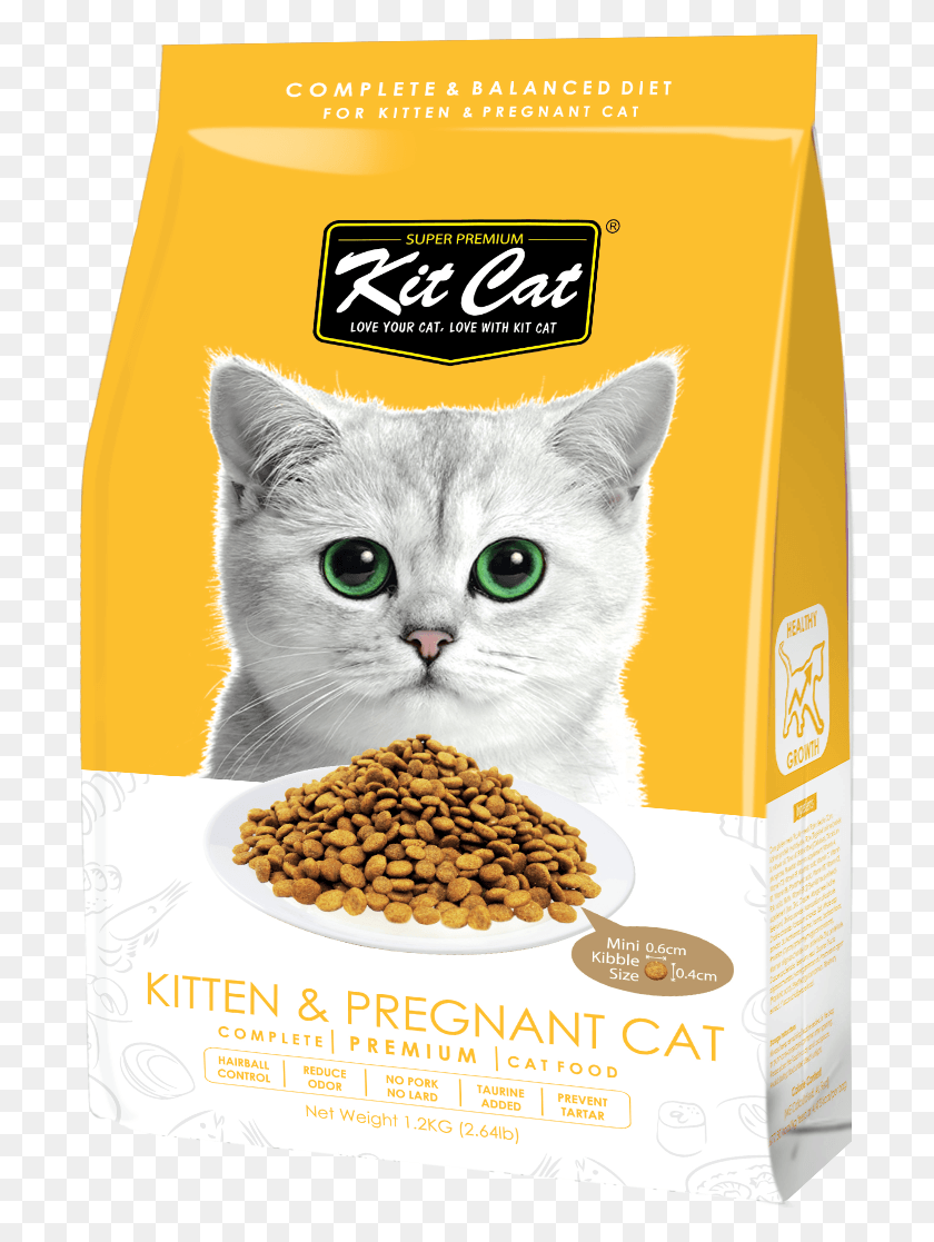 700x1057 Best Online Pet Store Singapore Kit Cat Dry Food, Mammal, Animal, Plant HD PNG Download