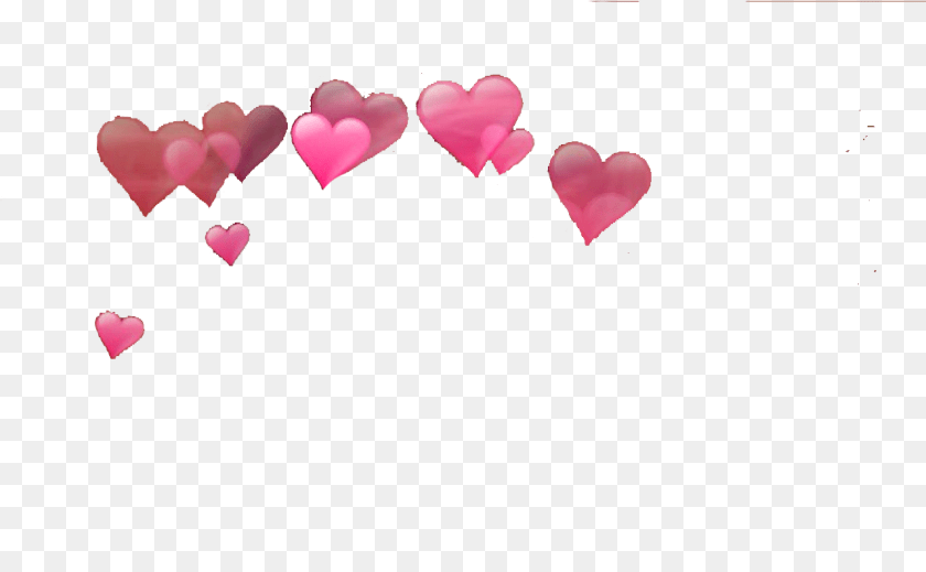 1281x792 Best Photos Of Booth Icon Transparent Transparent Hearts Hearts To Put Over Your Head, Heart, Flower, Petal, Plant Sticker PNG