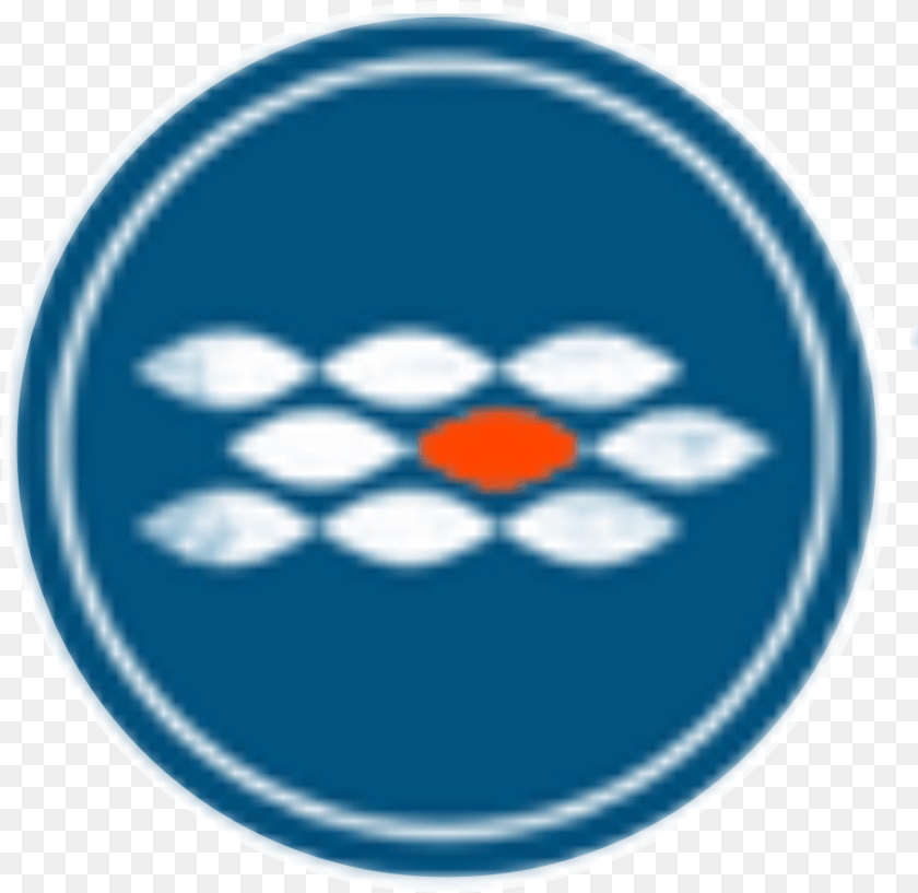 902x877 Best Swim School In The Bay Area Aquatech Swim Circle, Logo, Badge, Symbol, Disk Transparent PNG