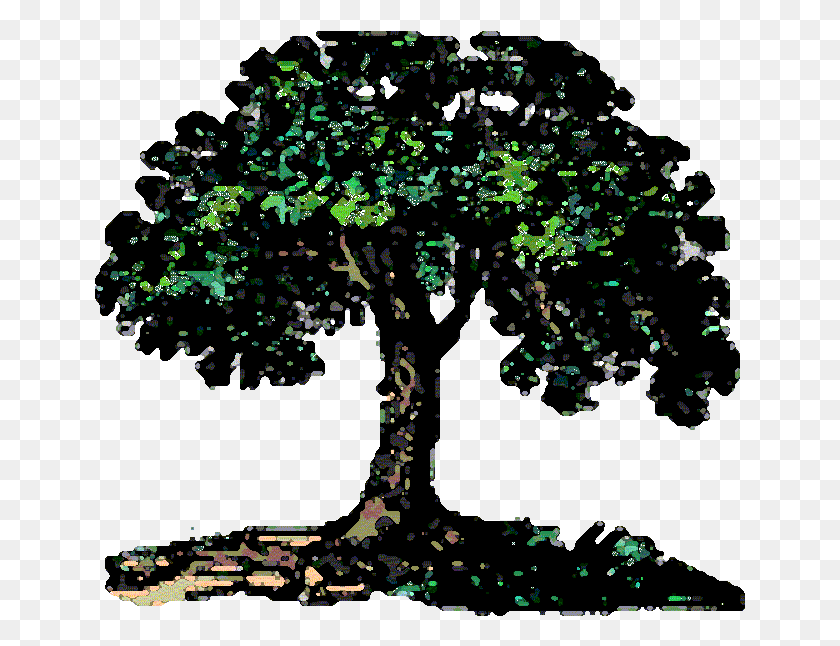 651x586 Best The Families With Family Tree Animated Black And White Brazilian Nut Tree, Animal, Insect, Invertebrate HD PNG Download