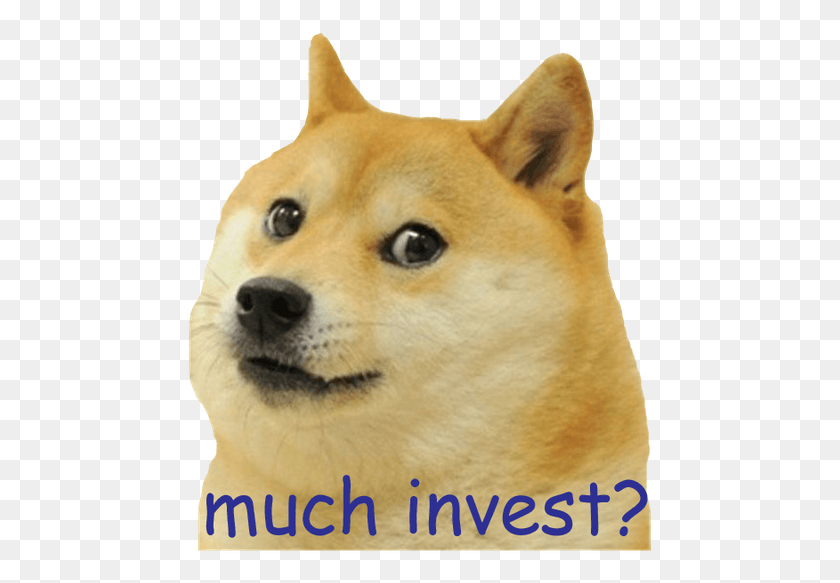 468x523 Best Time To Invest Doge In Ice Cream Cup, Pet, Animal, Dog HD PNG Download